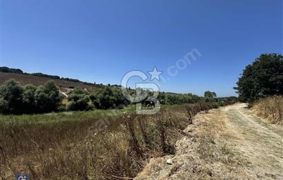 Satılık Tek Tapu, 5650m² Cadde Cepheli Arsa