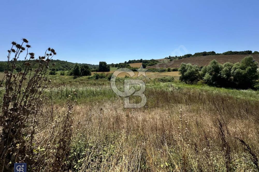 Satılık Tek Tapu, 5650m² Cadde Cepheli Arsa