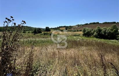 Satılık Tek Tapu, 5650m² Cadde Cepheli Arsa