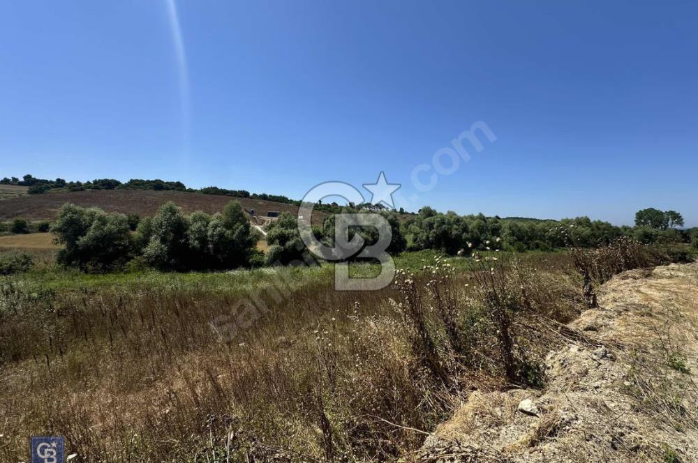 Satılık Tek Tapu, 5650m² Cadde Cepheli Arsa
