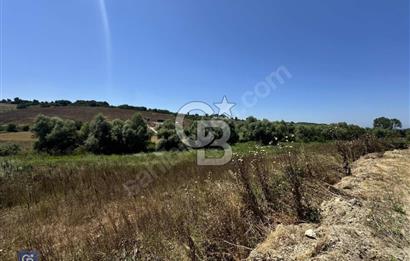 Satılık Tek Tapu, 5650m² Cadde Cepheli Arsa