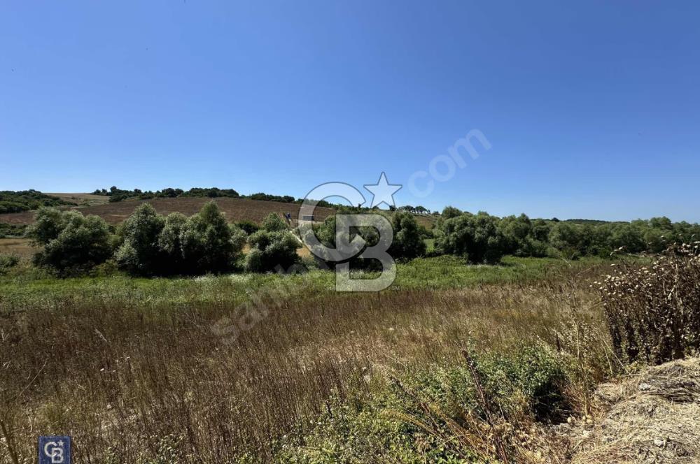Satılık Tek Tapu, 5650m² Cadde Cepheli Arsa