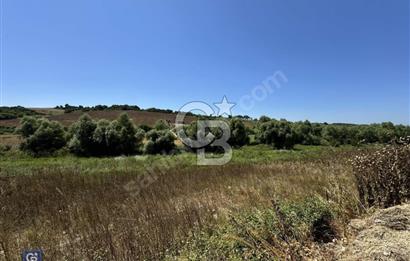 Satılık Tek Tapu, 5650m² Cadde Cepheli Arsa