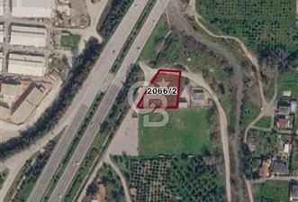 Güzelbahçe Yelki Işıklar Mevkiinde Yatırımlık Tarla Zeytinlik - 2 - 360397