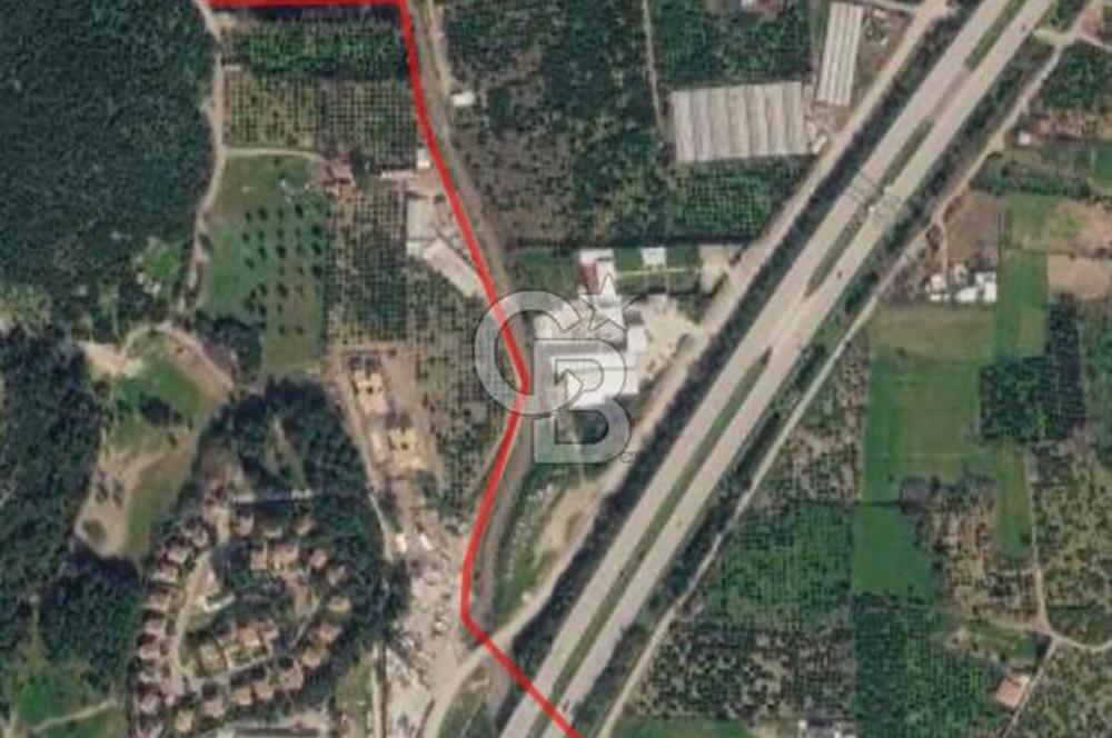 Güzelbahçe Yelki Işıklar Mevkiinde Yatırımlık Tarla Zeytinlik