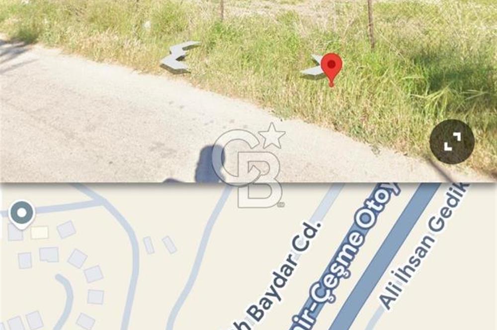 Güzelbahçe Yelki Işıklar Mevkiinde Yatırımlık Tarla Zeytinlik