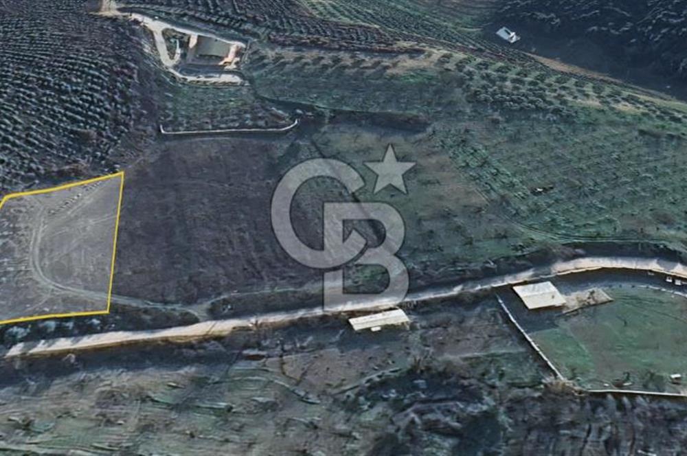  OSMANGAZİ AHMETBEY KÖYÜNDE İMAR YANI SATILIK TARLA