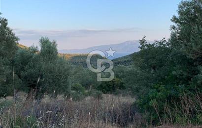 ÇANAKKALE AYVACIK KOYUNEVİ KÖYÜ’NDE SATILIK YATIRIMLIK ARAZİ