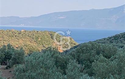 ÇANAKKALE AYVACIK KOYUNEVİ KÖYÜ’NDE SATILIK YATIRIMLIK ARAZİ