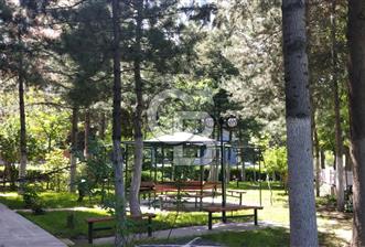 ÇİĞDEM MAH. DÜNYA BİR VADİ SİTESİ 3+1 KİRALIK DAİRE (KAT 2) - 1 - 360473