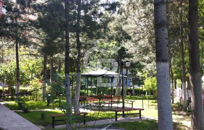 ÇİĞDEM MAH. DÜNYA BİR VADİ SİTESİ 3+1 KİRALIK DAİRE (KAT 2)