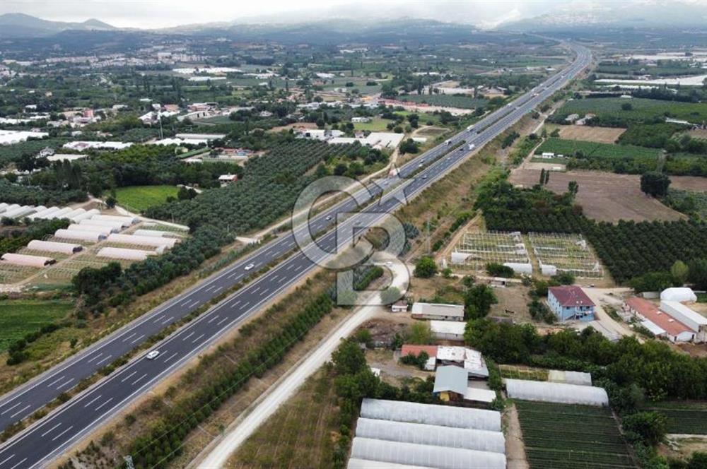 Bursa Orhangazi'de satılık tarla