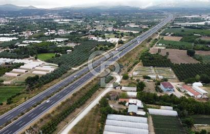 Bursa Orhangazi'de satılık tarla