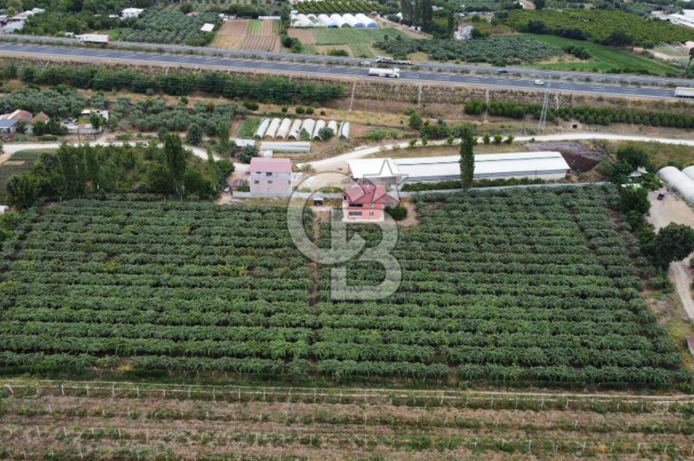 Bursa Orhangazi'de satılık tarla