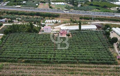 Bursa Orhangazi'de satılık tarla