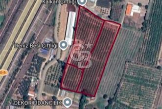 Bursa Orhangazi'de satılık tarla - 1 - 360459
