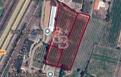 Bursa Orhangazi'de satılık tarla