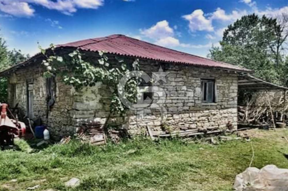 Kandıra Deliveli'de Köy Merkezine Komşu,Yola Cepheli Fırsat ARSA
