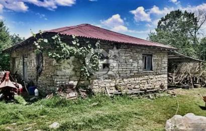 Kandıra Deliveli'de Köy Merkezine Komşu,Yola Cepheli Fırsat ARSA