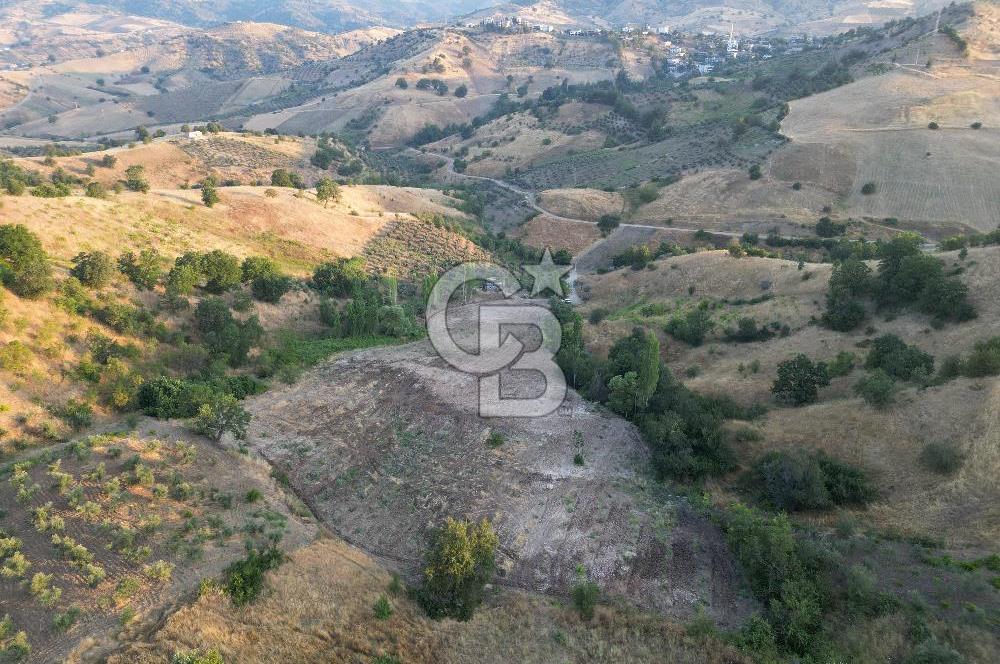 Onikişubat Köseli Mah. Müstakil Satılık 3.941 m2 Bağ ve Bahçe