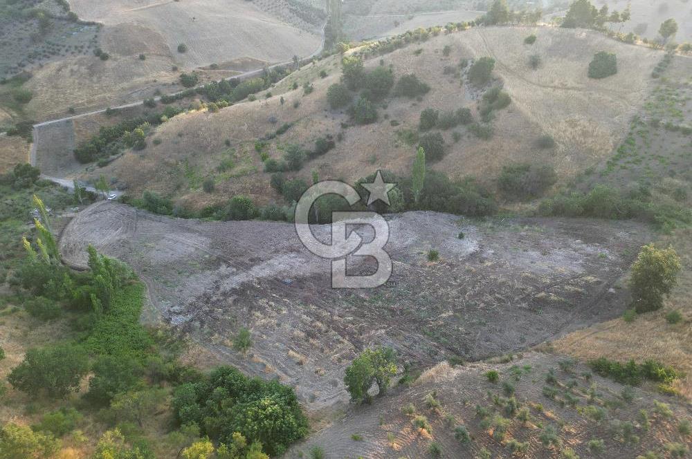 Onikişubat Köseli Mah. Müstakil Satılık 3.941 m2 Bağ ve Bahçe