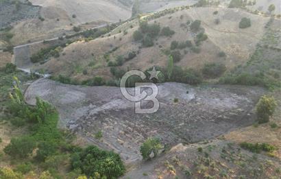 Onikişubat Köseli Mah. Müstakil Satılık 3.941 m2 Bağ ve Bahçe