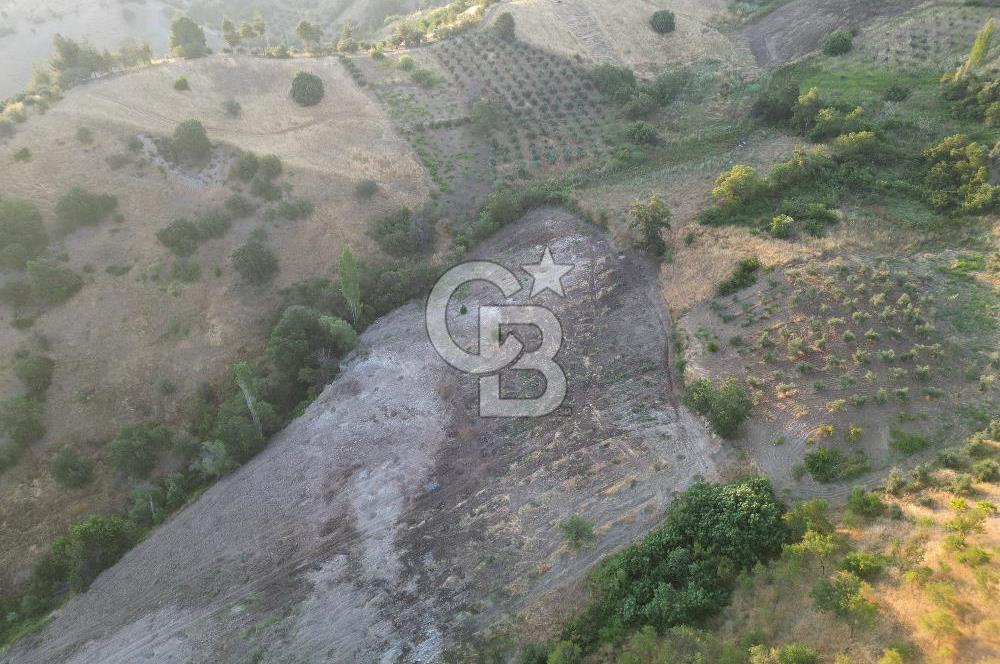 Onikişubat Köseli Mah. Müstakil Satılık 3.941 m2 Bağ ve Bahçe
