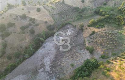 Onikişubat Köseli Mah. Müstakil Satılık 3.941 m2 Bağ ve Bahçe