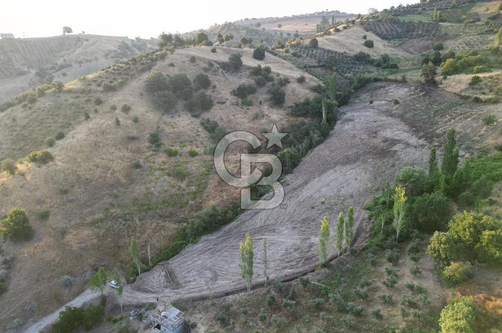 Onikişubat Köseli Mah. Müstakil Satılık 3.941 m2 Bağ ve Bahçe