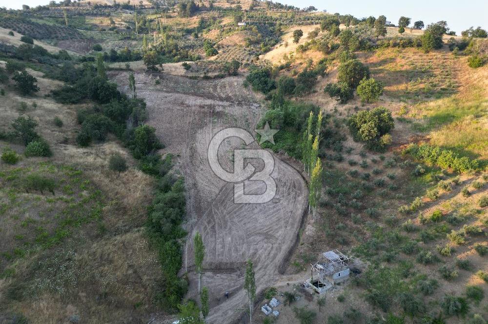Onikişubat Köseli Mah. Müstakil Satılık 3.941 m2 Bağ ve Bahçe