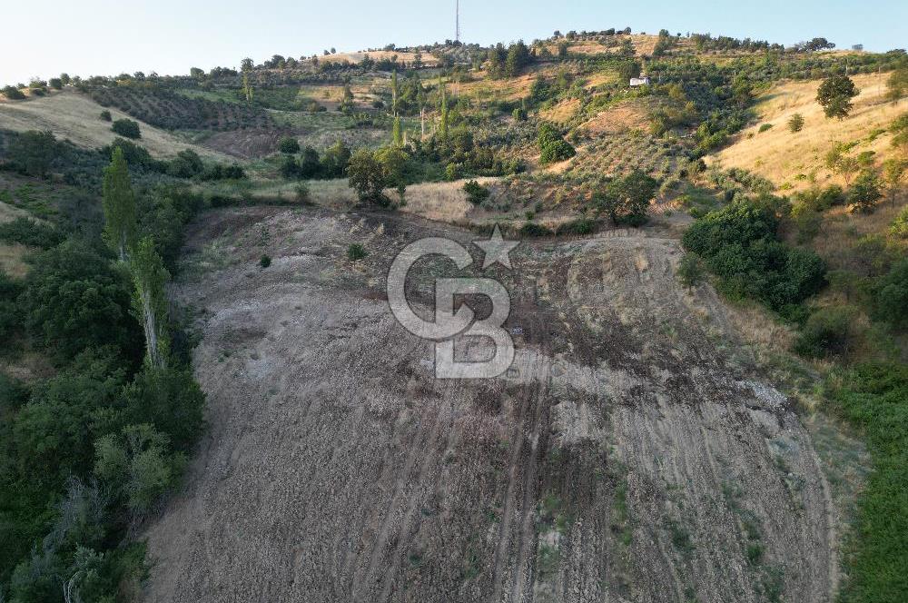 Onikişubat Köseli Mah. Müstakil Satılık 3.941 m2 Bağ ve Bahçe