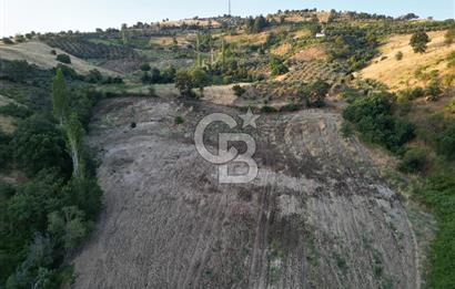 Onikişubat Köseli Mah. Müstakil Satılık 3.941 m2 Bağ ve Bahçe