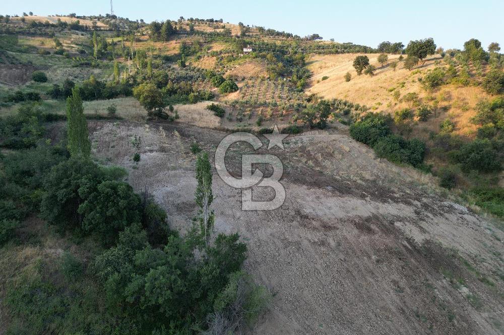 Onikişubat Köseli Mah. Müstakil Satılık 3.941 m2 Bağ ve Bahçe