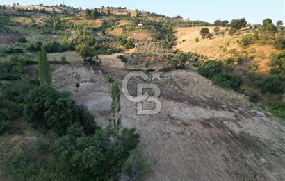 Onikişubat Köseli Mah. Müstakil Satılık 3.941 m2 Bağ ve Bahçe