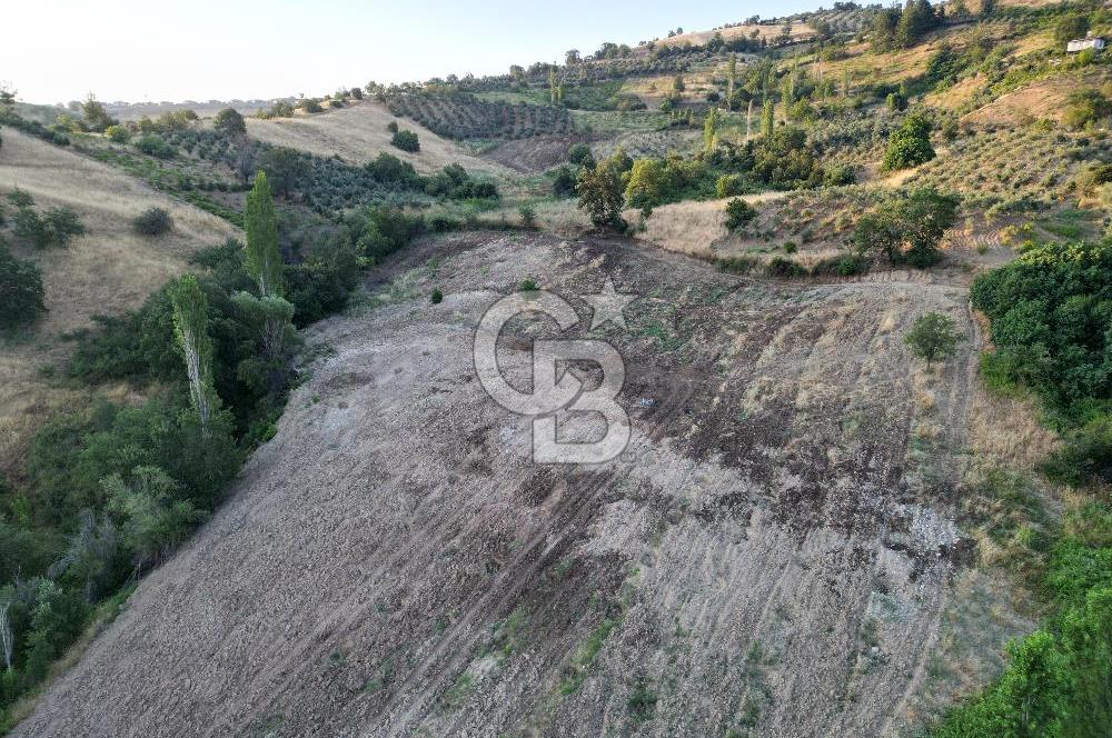 Onikişubat Köseli Mah. Müstakil Satılık 3.941 m2 Bağ ve Bahçe