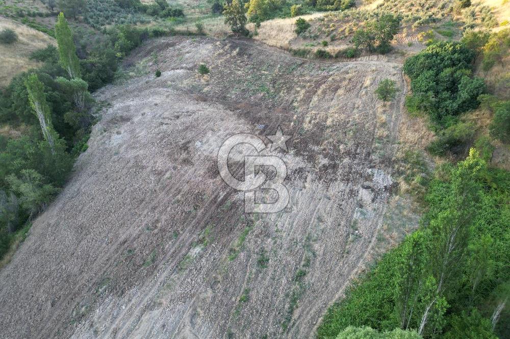 Onikişubat Köseli Mah. Müstakil Satılık 3.941 m2 Bağ ve Bahçe