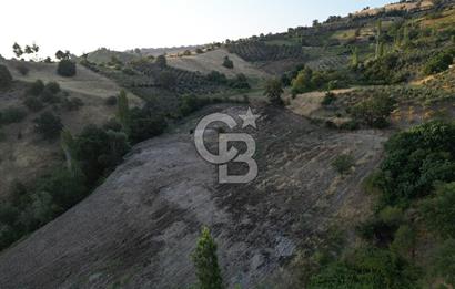 Onikişubat Köseli Mah. Müstakil Satılık 3.941 m2 Bağ ve Bahçe