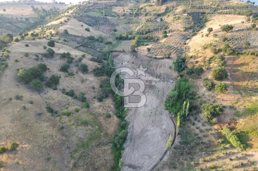 Onikişubat Köseli Mah. Müstakil Satılık 3.941 m2 Bağ ve Bahçe