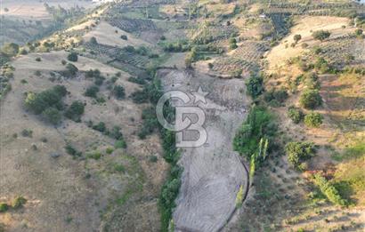 Onikişubat Köseli Mah. Müstakil Satılık 3.941 m2 Bağ ve Bahçe