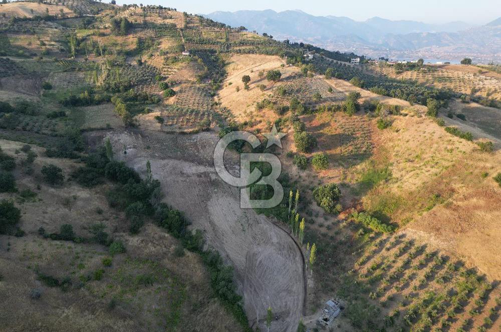 Onikişubat Köseli Mah. Müstakil Satılık 3.941 m2 Bağ ve Bahçe