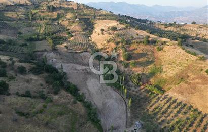 Onikişubat Köseli Mah. Müstakil Satılık 3.941 m2 Bağ ve Bahçe