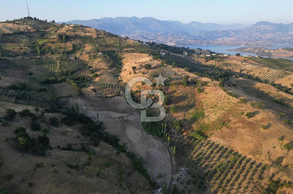 Onikişubat Köseli Mah. Müstakil Satılık 3.941 m2 Bağ ve Bahçe