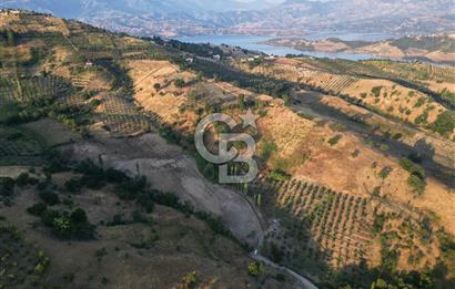 Onikişubat Köseli Mah. Müstakil Satılık 3.941 m2 Bağ ve Bahçe