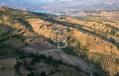 Onikişubat Köseli Mah. Müstakil Satılık 3.941 m2 Bağ ve Bahçe