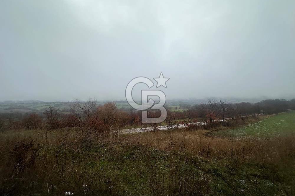 ÇANAKKALE ÇAN ŞERBETLİ SIRTLAR MEVKİ SATILIK TARLA