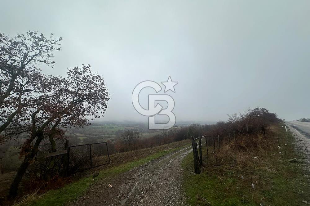 ÇANAKKALE ÇAN ŞERBETLİ SIRTLAR MEVKİ SATILIK TARLA