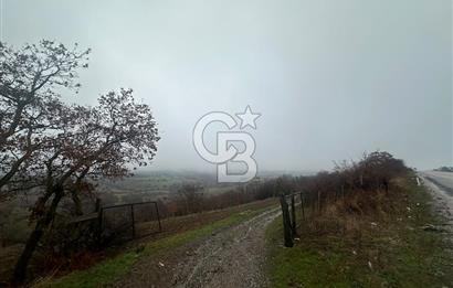 ÇANAKKALE ÇAN ŞERBETLİ SIRTLAR MEVKİ SATILIK TARLA