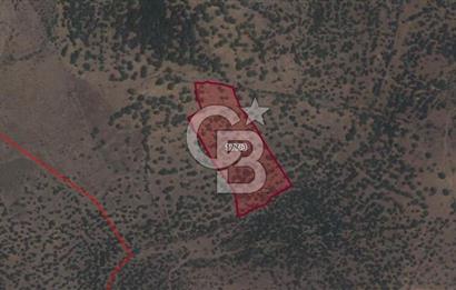ALİAĞA KALABAK'TA (17800 M²) SATILIK ARAZİ