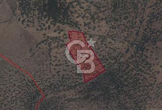 ALİAĞA KALABAK'TA (17800 M²) SATILIK ARAZİ - 1 - 360561