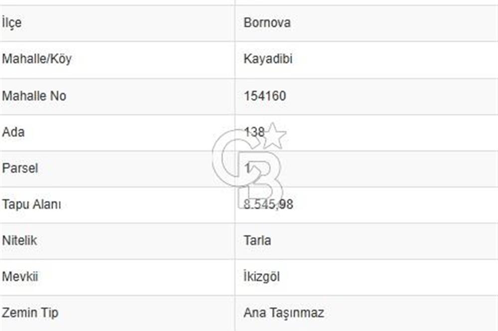 BORNOVA KAYADİBİ’NDE İKİZGÖL YANI YOLA CEPHET HARİKA YATIRIMLIK TARLA